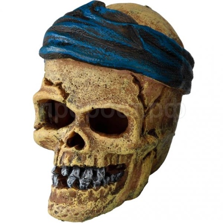 Грот AQUA DELLA Череп пирата 7.2x6x7.8см (Бельгия) 234/430101 Грот AQUA DELLA Череп пирата 7.2x6x7.8см (Бельгия) 234/430101