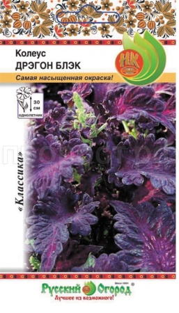 Колеус Дрэгон блек 10шт Колеус Дрэгон блек 10шт