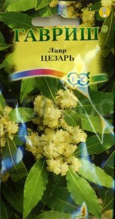 Лавр Цезарь благородный 3шт Лавр Цезарь благородный 3шт