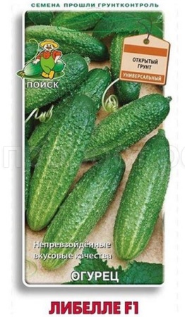 Огурец Либелле F1 12шт Огурец Либелле F1 12шт