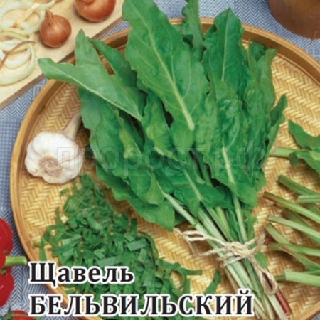 Щавель Бельвильский 25г