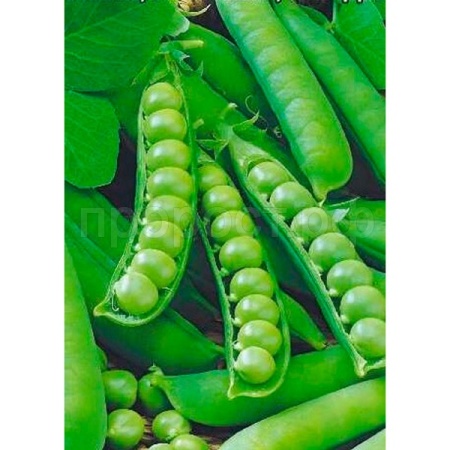 Гавриш Фермерская Горох Сахарная подружка 500 г Гавриш Фермерская Горох Сахарная подружка 500 г