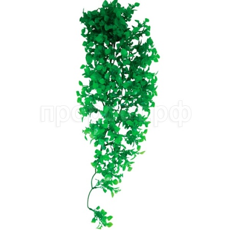 Растение REP7007 с присоской 700мм Repti-Zoo/84045042/Триол Растение REP7007 с присоской 700мм Repti-Zoo/84045042/Триол