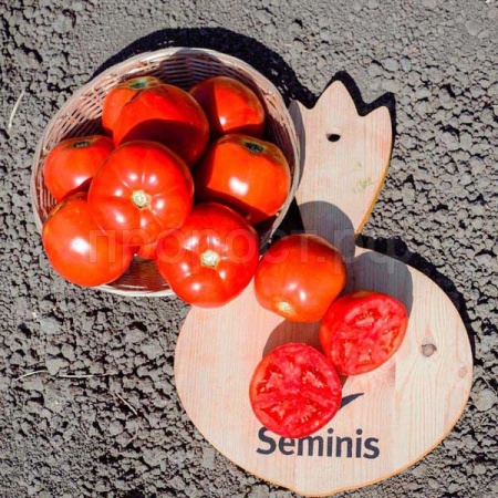 Томат Таня F1 1000 шт Томат Таня F1 1000 шт