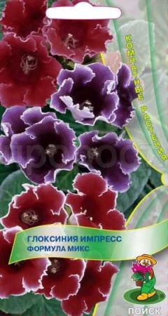 Глоксиния Импресс Формула микс 5шт  Глоксиния Импресс Формула микс 5шт