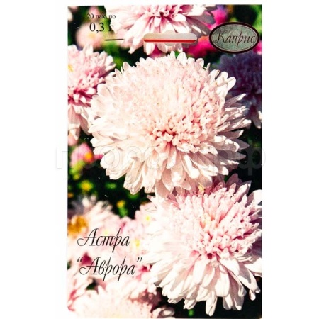 Астра Аврора Принцесса Светло-розовая 20*0,3  Астра Аврора Принцесса Светло-розовая 20*0,3