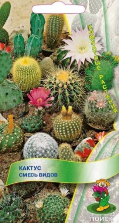 Кактус смесь 0,1г  Кактус смесь 0,1г