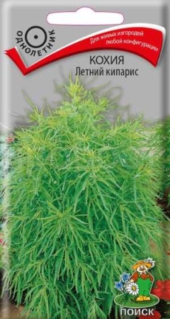 Кохия Летний кипарис 0,2г  Кохия Летний кипарис 0,2г