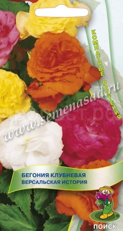 Бегония Версальская история 15шт  Бегония Версальская история 15шт