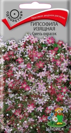 Гипсофила изящная Смесь окрасок 0,2г  Гипсофила изящная Смесь окрасок 0,2г