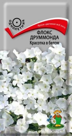 Флокс друммонда Красотка в белом 0,1г Флокс друммонда Красотка в белом 0,1г
