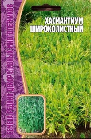 Хасмантиум Широколистный 25 шт Хасмантиум Широколистный 25 шт