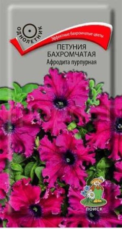 Петуния бахромчатая Афродита пурпурная 10шт Петуния бахромчатая Афродита пурпурная 10шт