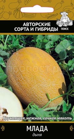 Дыня Млада 15шт  Дыня Млада 15шт