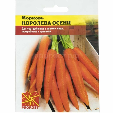 Морковь Королева осени 2г Морковь Королева осени 2г