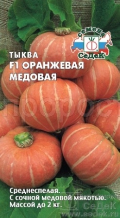 Тыква крупноплодная Оранжевая медовая F1 1г  Тыква крупноплодная Оранжевая медовая F1 1г