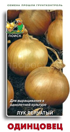Лук репчатый Одинцовец 1г  Лук репчатый Одинцовец 1г