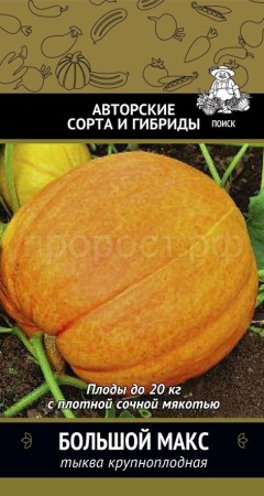 Тыква крупноплодная Большой Макс 10шт  Тыква крупноплодная Большой Макс 10шт