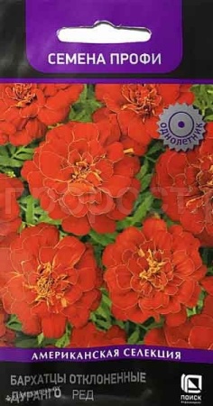 Бархатцы Алюмиа Ред Ванилла отклоненные 15шт Бархатцы Алюмиа Ред Ванилла отклоненные 15шт