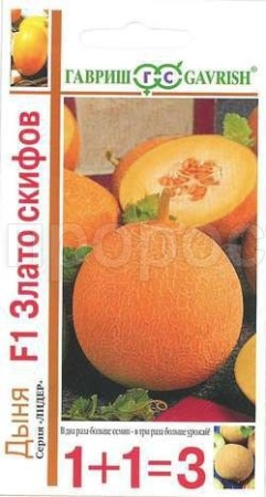 Дыня Злато Скифов серия F1 30шт  Дыня Злато Скифов серия F1 30шт