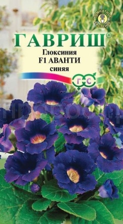 Глоксиния Аванти синяя 5шт  Глоксиния Аванти синяя 5шт