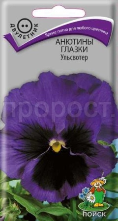 Анютины глазки Ульсвотер 0,2 гр  Анютины глазки Ульсвотер 0,2 гр