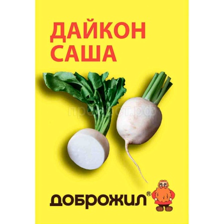 Дайкон Саша 1г Дайкон Саша 1г