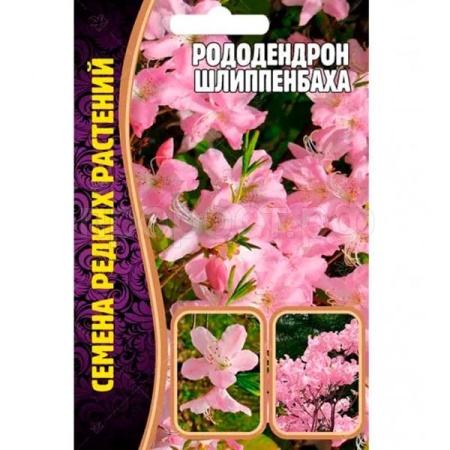 Рододендрон Шлиппенбаха 0.01г Рододендрон Шлиппенбаха 0.01г