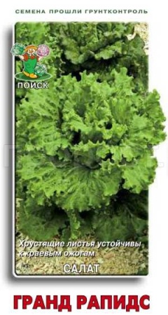 Салат Гранд Рапидс 1г  Салат Гранд Рапидс 1г