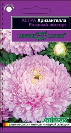 Астра Хризантелла Розовый восторг 0,05 г Астра Хризантелла Розовый восторг 0,05 г