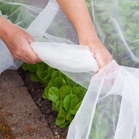 Спанбонд "PROROST" плотность 60мкр белый  размер 3,2*10м Спанбонд "PROROST" плотность 60мкр белый  размер 3,2*10м