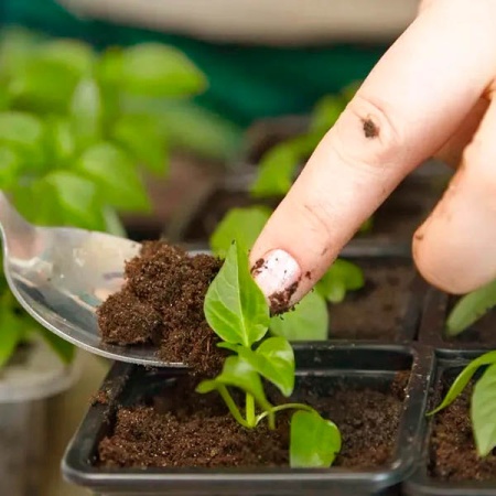 Грунт Фаско для Цветущих 5л Грунт Фаско для Цветущих 5л