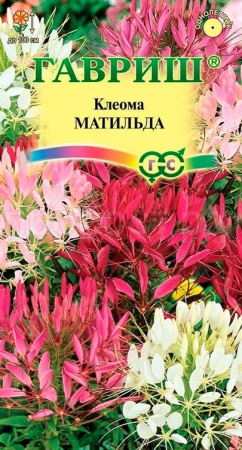 Клеома Матильда колючая 0,2гр.  Клеома Матильда колючая 0,2гр.