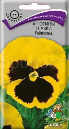 Анютины глазки Райнгольд 0,2 гр Анютины глазки Райнгольд 0,2 гр