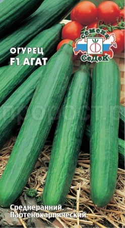 Огурец Агат F1   Огурец Агат F1