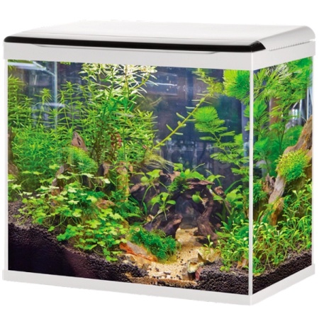 Аквариум 058 LED+top Filtr 50л белый/BARBUS Аквариум 058 LED+top Filtr 50л белый/BARBUS
