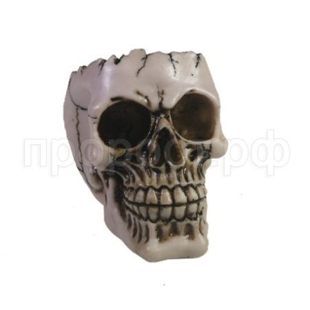 Череп L14W10H11см 715335 Череп L14W10H11см 715335
