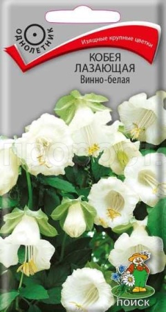 Кобея лазающая Винно-белая 5шт Кобея лазающая Винно-белая 5шт
