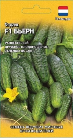 Огурец Бьерн F1 5шт Огурец Бьерн F1 5шт