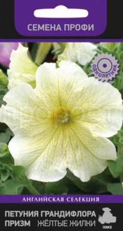 Петуния грандифлора призм Жёлтые Жилки 30шт Петуния грандифлора призм Жёлтые Жилки 30шт
