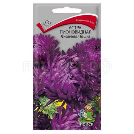 Астра пионовидная Фиолетовая башня 0,3г  Астра пионовидная Фиолетовая башня 0,3г
