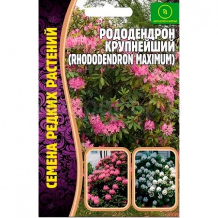 Рододендрон крупнейший 0,01г Рододендрон крупнейший 0,01г