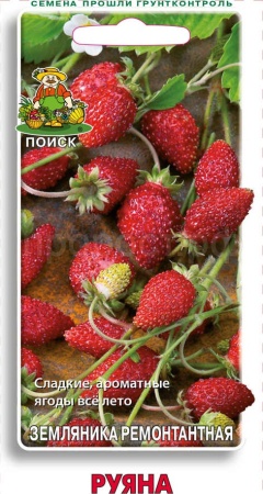 Земляника Руяна ремонтантная 100шт Земляника Руяна ремонтантная 100шт