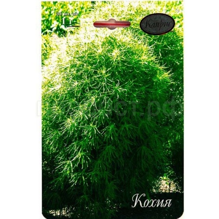 Кохия Королевский замок 20*1  Кохия Королевский замок 20*1