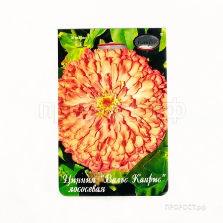 Цинния Вальс Каприс желто-кремовая 20*1 Цинния Вальс Каприс желто-кремовая 20*1