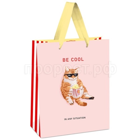 Пакет подарочный 11*14*6,5см "Be cool" выб. лак мат. ламинация MESHU/Рельеф Пакет подарочный 11*14*6,5см "Be cool" выб. лак мат. ламинация MESHU/Рельеф