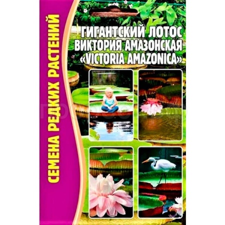 Лотос Гигантский Виктория Амазонская 2 шт Лотос Гигантский Виктория Амазонская 2 шт