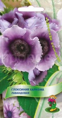 Глоксиния Харизма Лавандовая 5шт Глоксиния Харизма Лавандовая 5шт