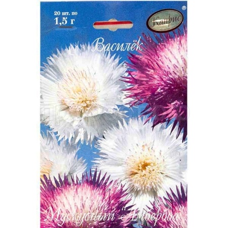 Василек Мускус Ароматное облако 20*1 Василек Мускус Ароматное облако 20*1