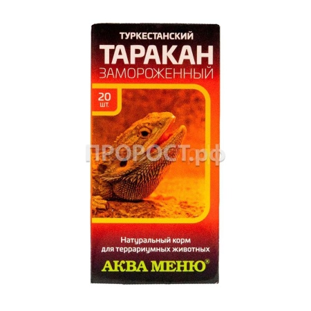 Замороженный корм для террариумных животных Таракан туркменский по 20шт Замороженный корм для террариумных животных Таракан туркменский по 20шт